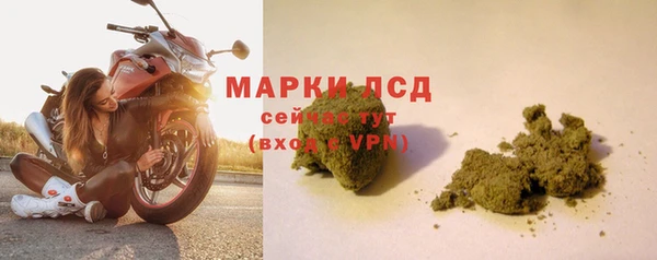 трава Богородицк