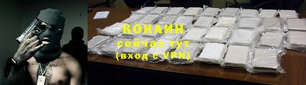 трава Богородицк