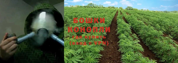 каннабис Богданович