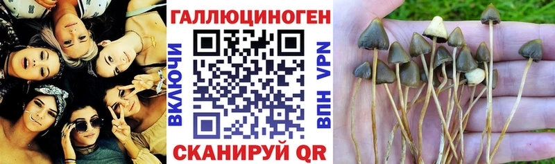 Псилоцибиновые грибы Magic Shrooms  Дюртюли 